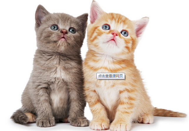 201408301409406726181852.jpg QQ截图20140830215221.jpg