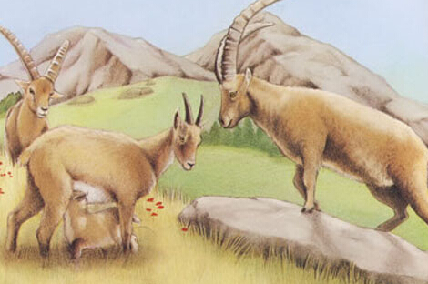 201409041409842515127382.jpg QQ截图20140904225530.jpg