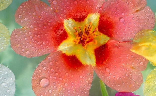 201409141410704030926043.jpg QQ截图20140914221324.jpg