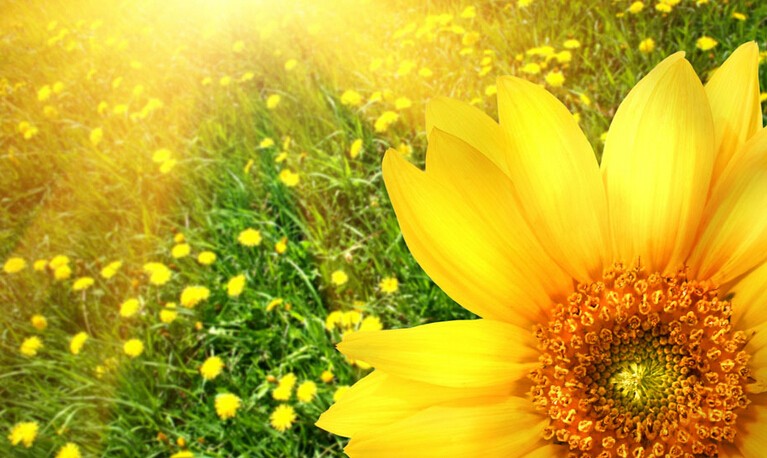 201409141410704360948076.jpg QQ截图20140914221953.jpg