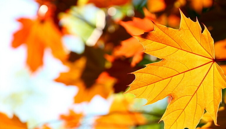 201409141410704590336508.jpg QQ截图20140914222250.jpg