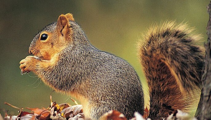 201409151410748858907325.jpg QQ截图20140915104127.jpg