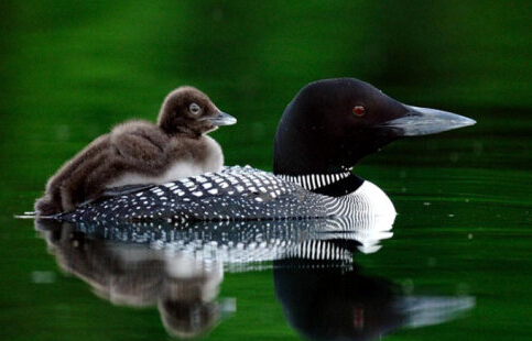 201409241411563920314562.jpg QQ截图20140924210602.jpg