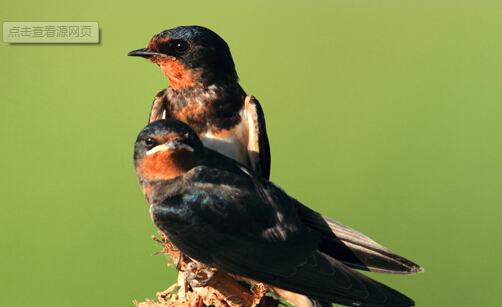 201409241411564085116181.jpg QQ截图20140924210806.jpg