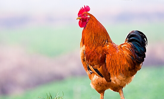 201409281411914212827372.jpg QQ截图20140928222332.jpg