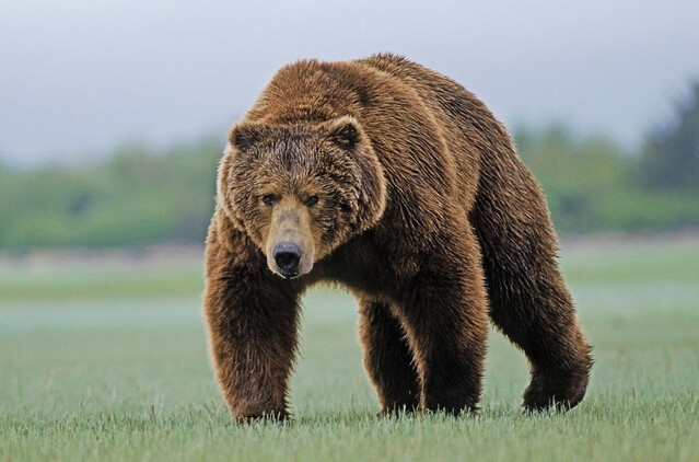 201410111413036730106710.jpg QQ截图20141011221158.jpg