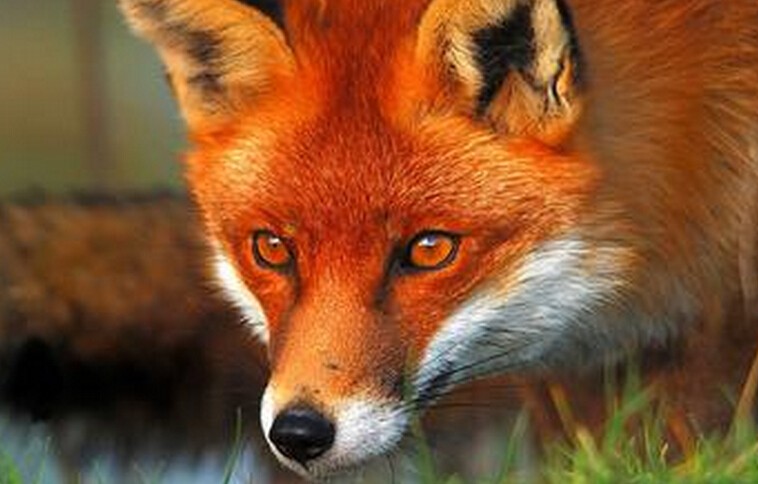 201410111413036873539403.jpg QQ截图20141011221423.jpg